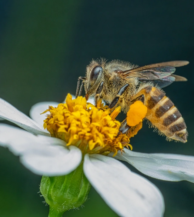 Untitled design (41)