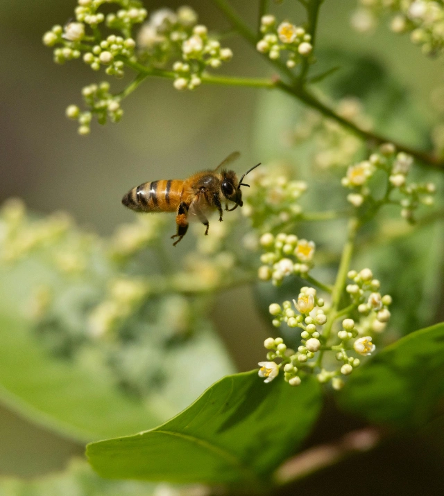 Untitled design (42)